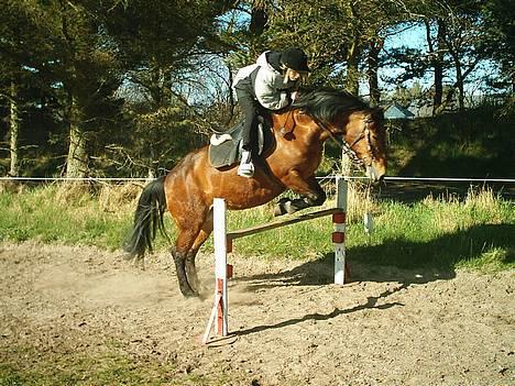 New Forest Fanny || Gammel part :( - Hopper .. <3 billede 12