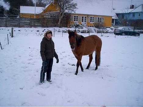 Anden særlig race Stjerne  - Så er vi ude i sneen :D billede 10
