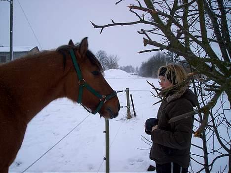 Anden særlig race Stjerne  - hvorfor gemmer du dig ? billede 13