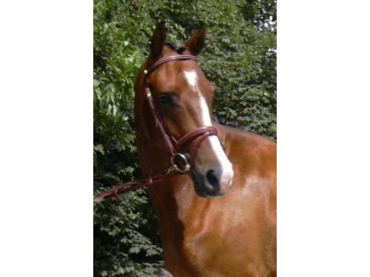 {{currentPhoto.altText}} billede {{currentPhoto.number}}