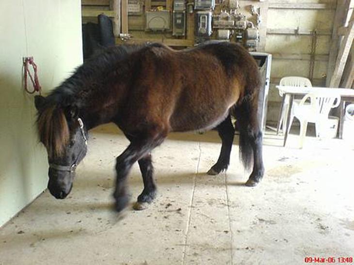 {{currentPhoto.altText}} billede {{currentPhoto.number}}