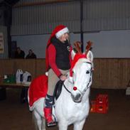 Anden særlig race Denise