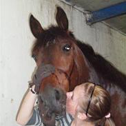Anden særlig race Flint <3 R.I.P † 23.05.11