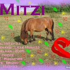 Miniature Mitzi<33  | | Solgt | |