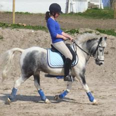 Pinto | Manto RIP - 24.02.2011