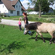 Anden særlig race Baldur