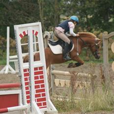 Anden særlig race Simba ******Solgt*****