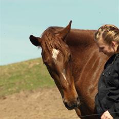 Anden særlig race Joy