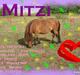 Miniature Mitzi<33  | | Solgt | |