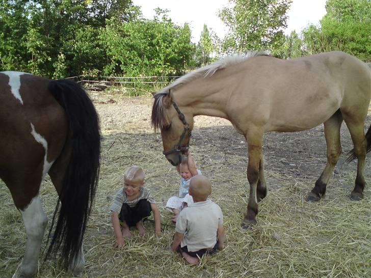 Anden særlig race shanita - se lige tøssen hun står bare og spiser i mens at børene leger rundt om dem billede 14