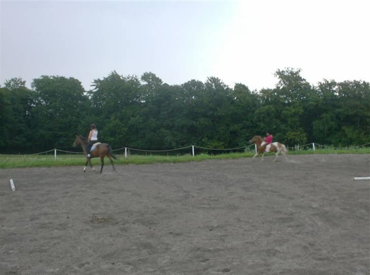 Anden særlig race Prins Bob solgt :'( <3 - her stikker bob af med mig(: billede 15