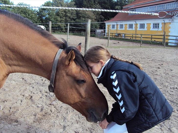 New Forest Elvis - Velkommen til Elvis profil :-) vi forstår bare hinanden:´)  billede 1