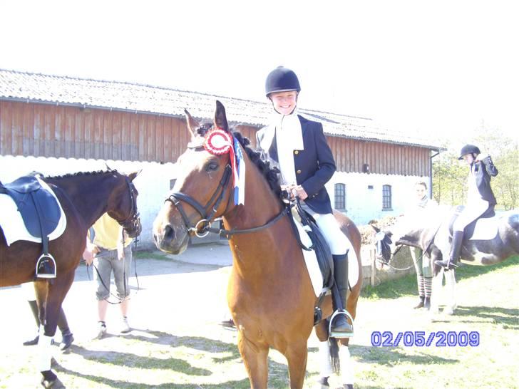 New Forest Orchid's Zaina ½ b pony **SOLGT** - meget gammelt billede: førdste stævne ude- lc1 72% billede 5