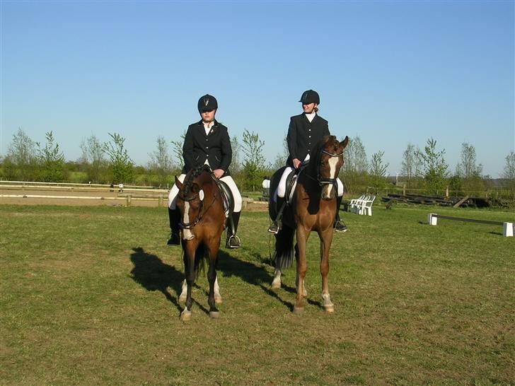 Anden særlig race Jumping Jack Flash R.I.P - jubii vi blev nummer 3 i SOR-cup  billede 11