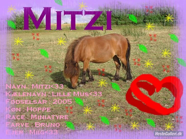 Miniature Mitzi<33  | | Solgt | | - Velkommen til :) læg lige en Bedømmelse + Kommentar(: billede 1