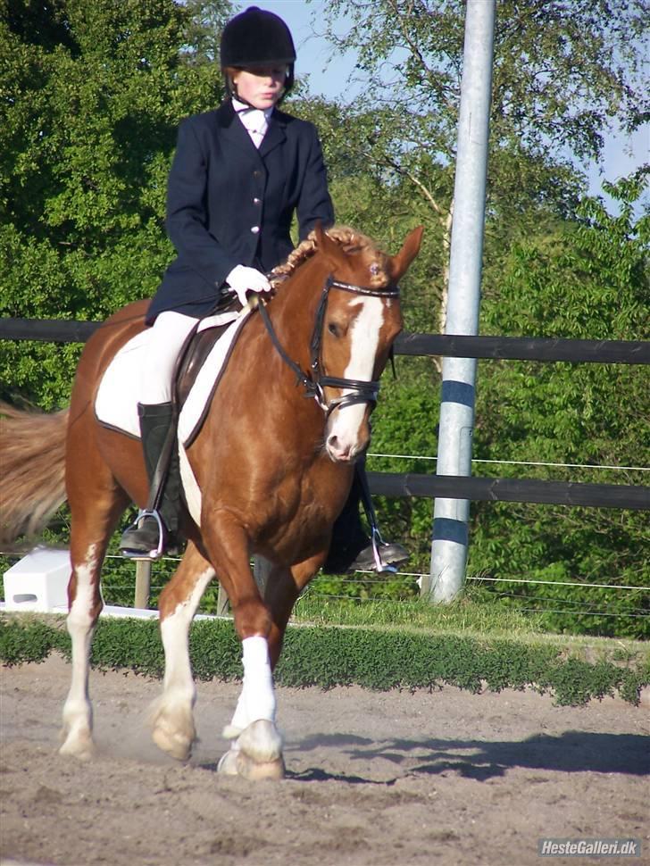 Anden særlig race lille fod - LC3 :) billede 4