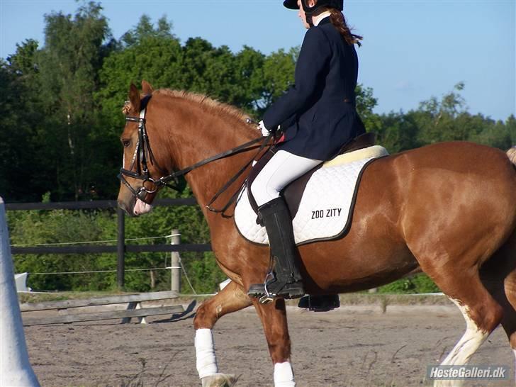 Anden særlig race lille fod - du er så dygtig :) billede 5