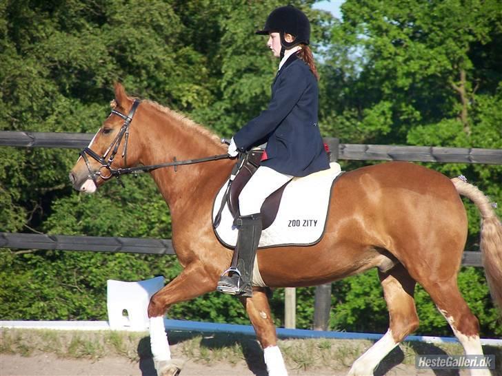 Anden særlig race lille fod - han er glad :) billede 6