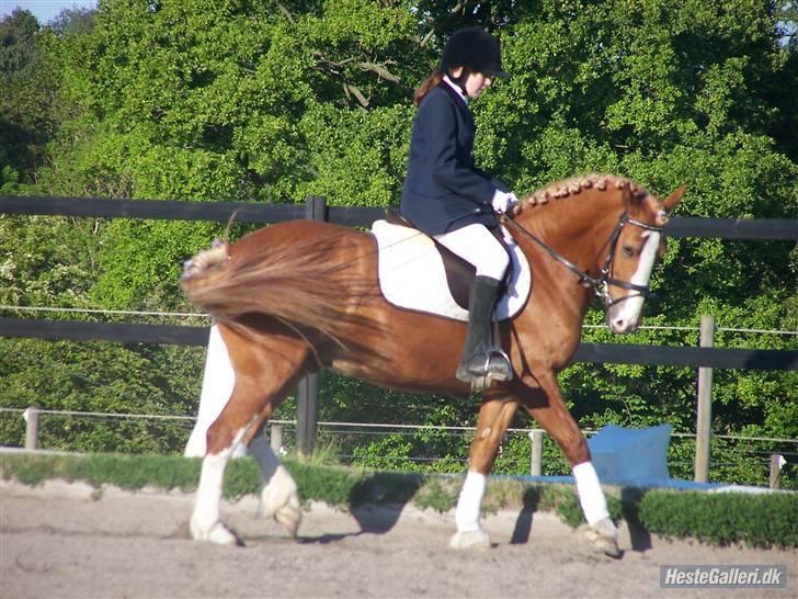 Anden særlig race lille fod - i love you<3<3<3 billede 7