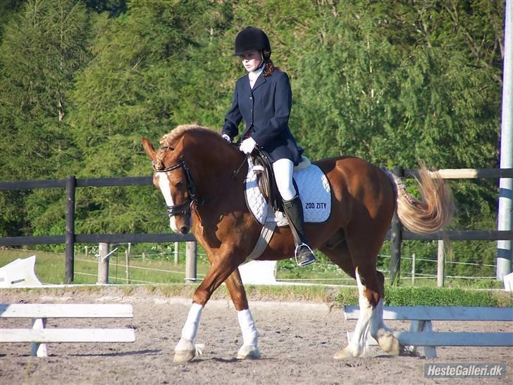 Anden særlig race lille fod - du er så smuk :) billede 8