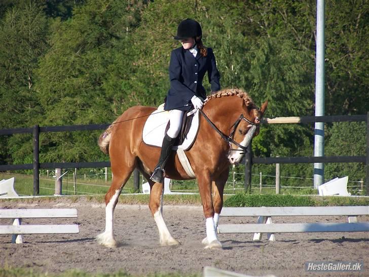 Anden særlig race lille fod - du er så dejlig :) billede 9