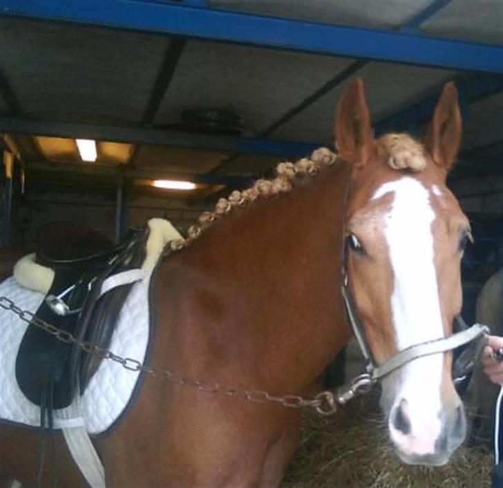 Anden særlig race lille fod - har er så sød :P billede 14