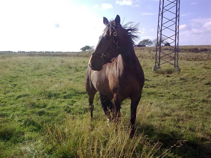 Traver Gucci <3 [SOLGT:'(] billede 14