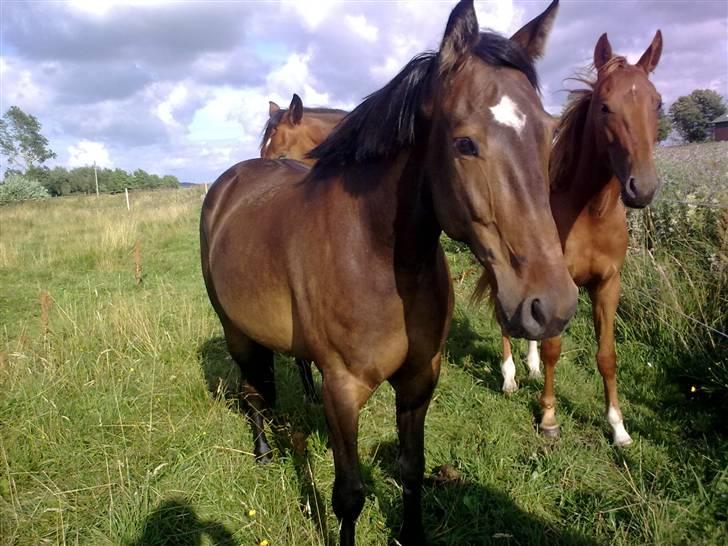 Traver Gucci <3 [SOLGT:'(] billede 15