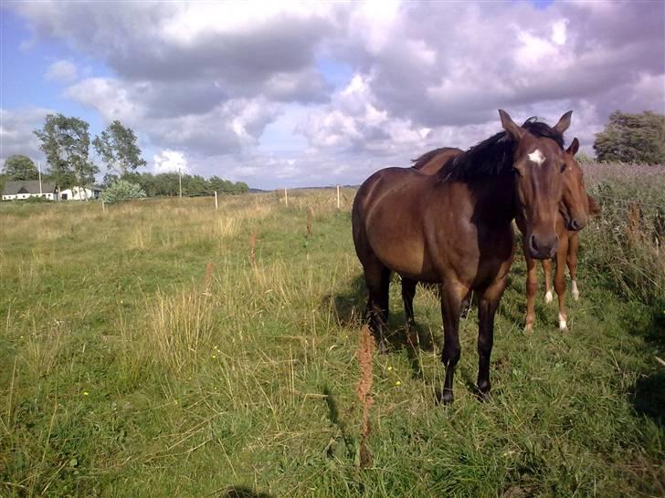 Traver Gucci <3 [SOLGT:'(] billede 16