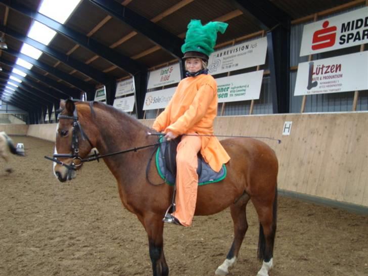 Anden særlig race Sir Richard rideskolepony - Fastelavnsstævne på Hedensted rideskole, udklædt som gulerod billede 18