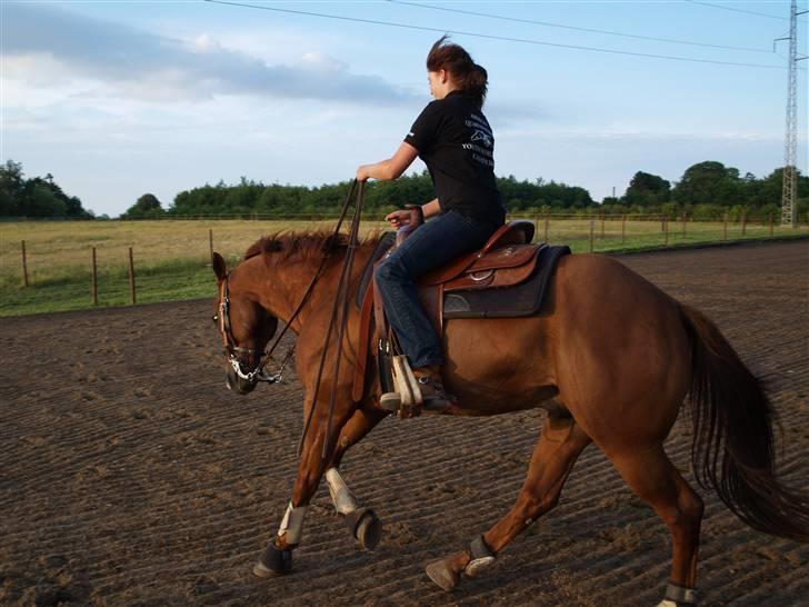 Quarter BR Genuine Sparkel  billede 14