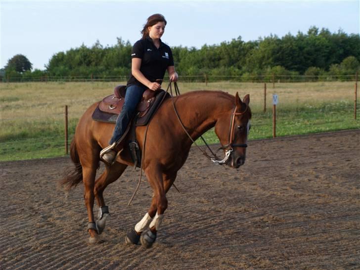 Quarter BR Genuine Sparkel  billede 15