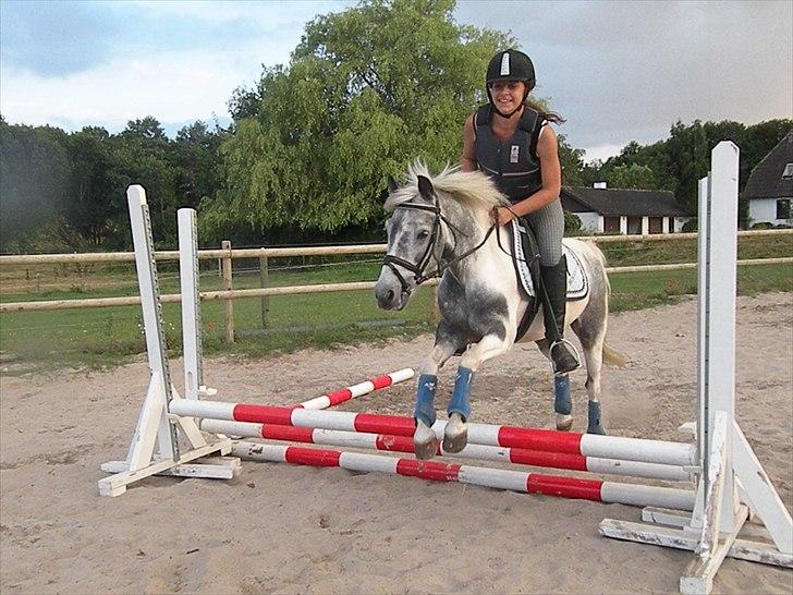 Pinto | Manto RIP - 24.02.2011 - Nr. 4 Spring på ridelejr 2010 - 26.07.2010 billede 4