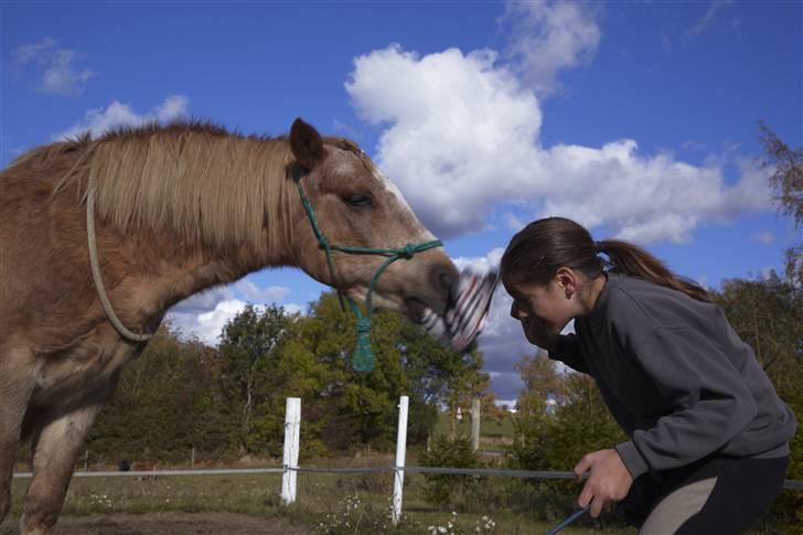 Anden særlig race Trixtan <3 mitet&alt - #20 Trixtan hjælper lige med at tage min hat af ;D<3 Foto: Eva eller Carl-otto 18/10 09 billede 20