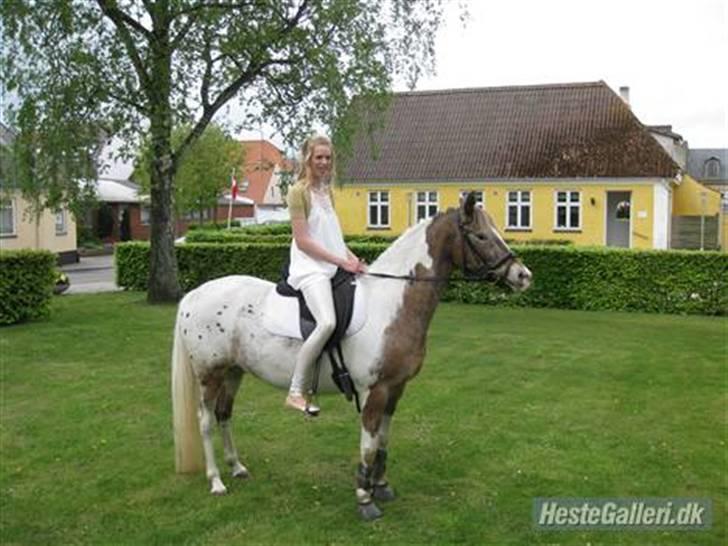 Anden særlig race Silas <3 - silas til min konfi. :)<3 billede 20