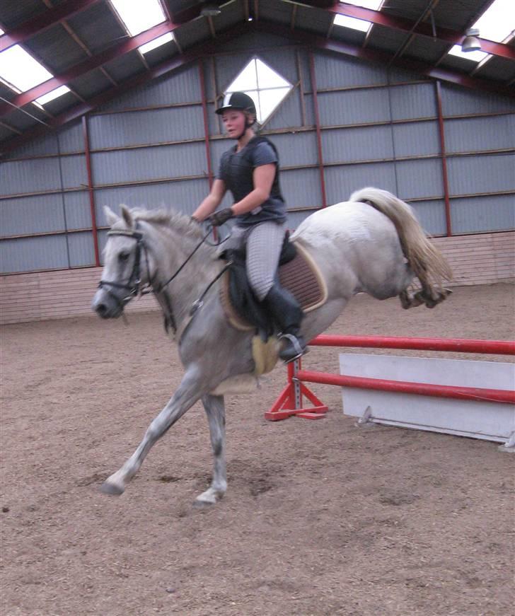 Welsh Pony (sec B) Stendyssens Swinging Sun† - Anden gang jeg springer hende på bane :D 2/8-09 (min støvle ser lidt mærkelig ud fordi den er i stykker) billede 18