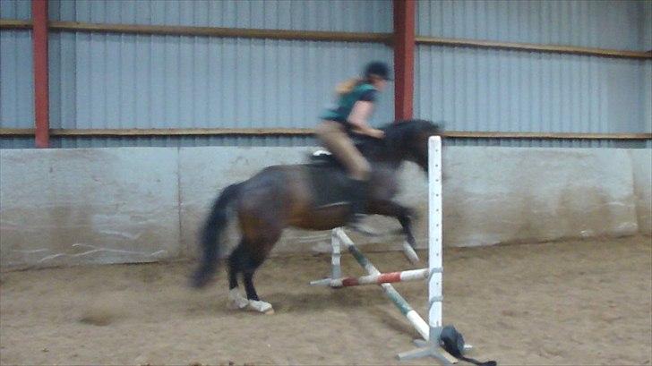 Welsh Pony (sec B) Sunshine Solgt /red hende - *NYT* Sidste gang jeg var sammen med Sunshine inden hun blev solgt, dagen efter :´( Hun var så go´ den dag! Savner dig skat!<3 billede 2