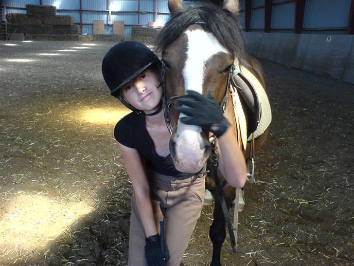 Welsh Pony (sec B) Sunshine Solgt /red hende billede 9