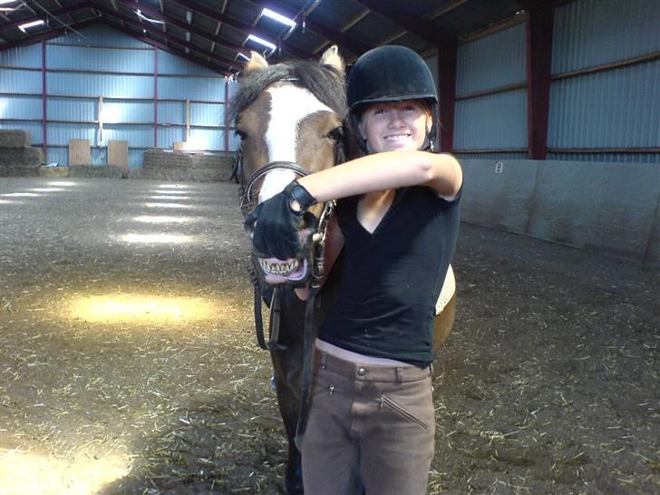 Welsh Pony (sec B) Sunshine Solgt /red hende - SE ! Sunshine, har så fine tænder, eller ikk =) billede 10