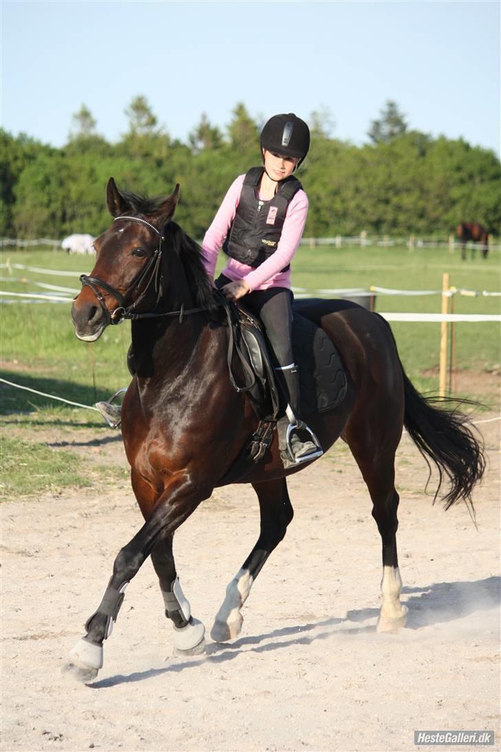 Traver Queen For Charity (SE) - billedet er taget af Marlene ølgod billede 2