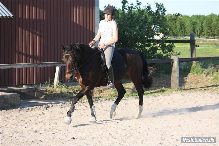 Traver Queen For Charity (SE) - billedet er taget af Marlene ølgod billede 3