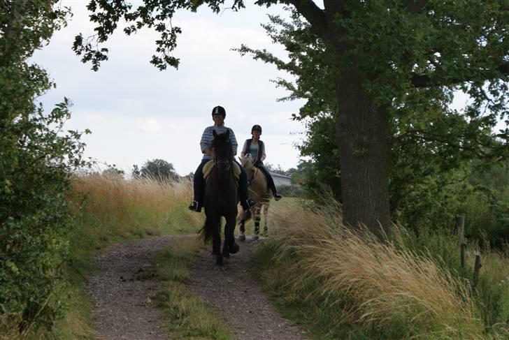 Frieser Griet A *RIP* - Griet/Gitte og Event/Helle på vej i engen. billede 9