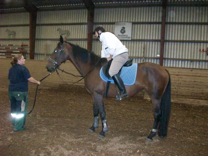 Anden særlig race Surprise :(Rider ikke mer billede 17