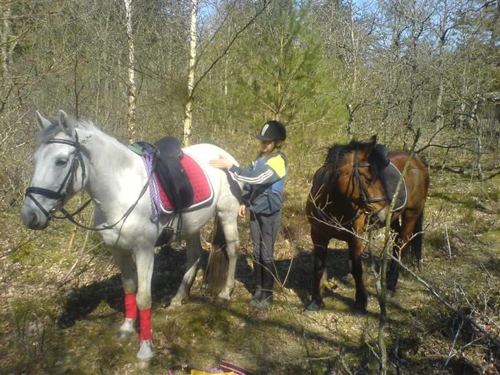 Anden særlig race Cirkeline <3 billede 18