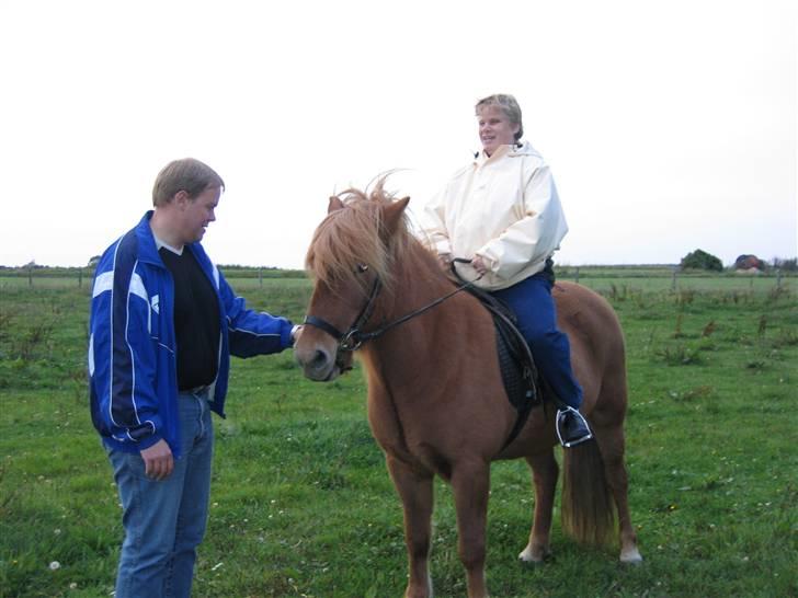 Islænder Reddi - Min blinde tante som rider Reddi..:) billede 18