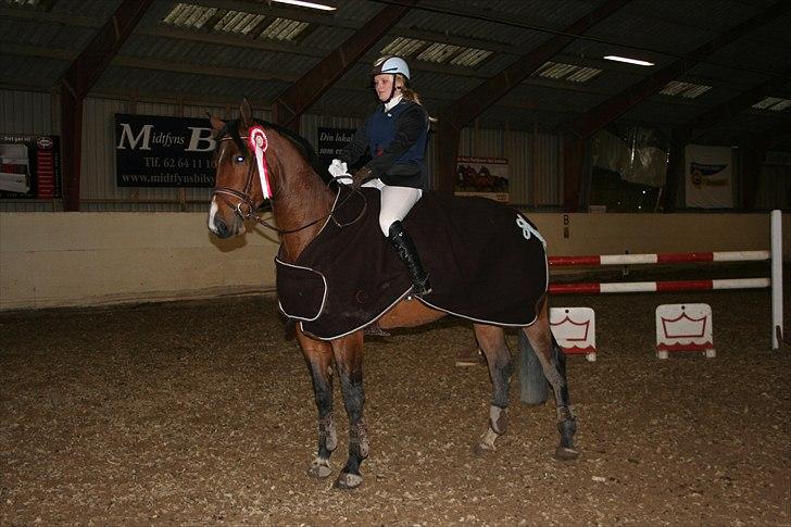 Dansk Varmblod Boulou billede 14