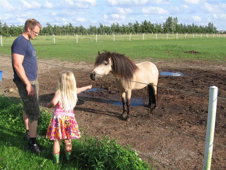 Anden særlig race Baldur - Hej Freja skal vi være venner? billede 7