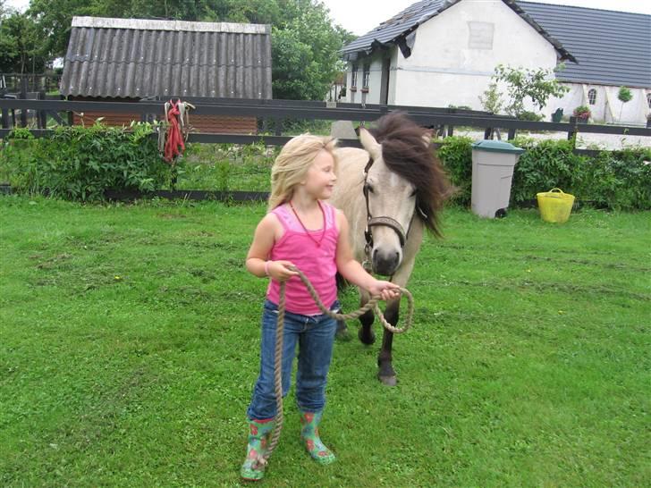 Anden særlig race Baldur - d 22/7-09 Freja henter Baldur fra fold billede 9