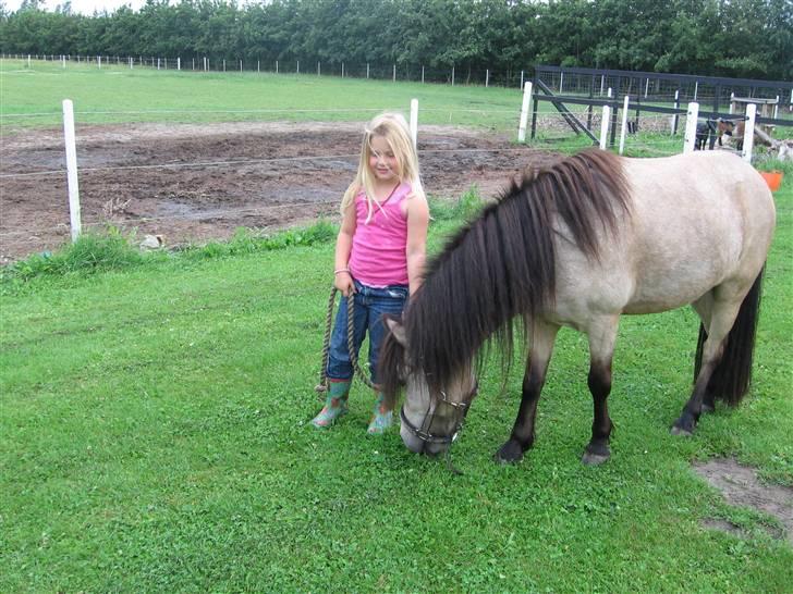 Anden særlig race Baldur - En meget glad pige med hendes nye pony billede 16