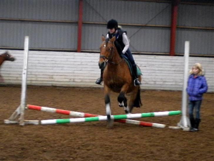 Anden særlig race Rosita ' R.I.P ' <3 :( - :) // taget af sarah billede 7